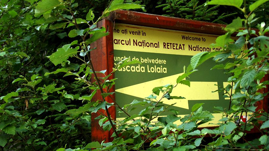 Cascada Lolaia