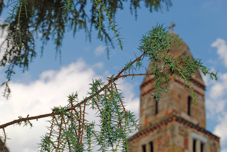 Biserica din Densus „Sfantul Nicolae”