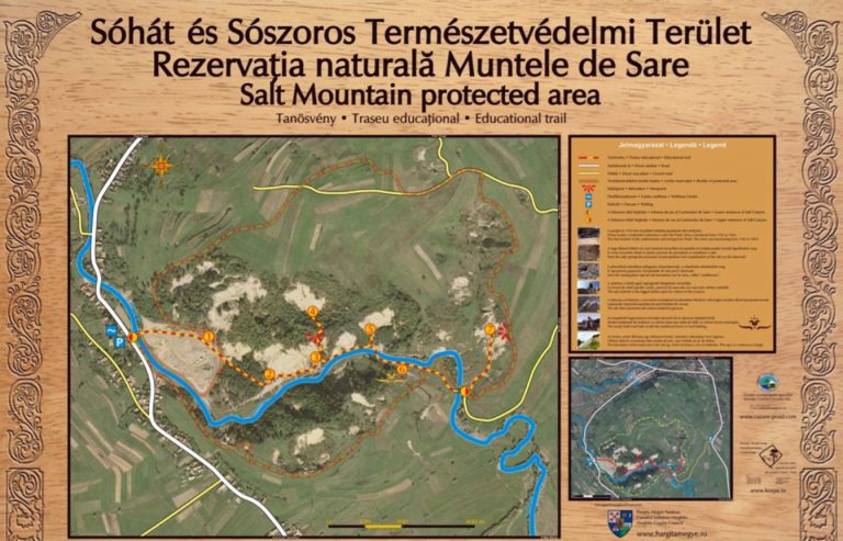 Rezervatia Naturala Dealul Sarii