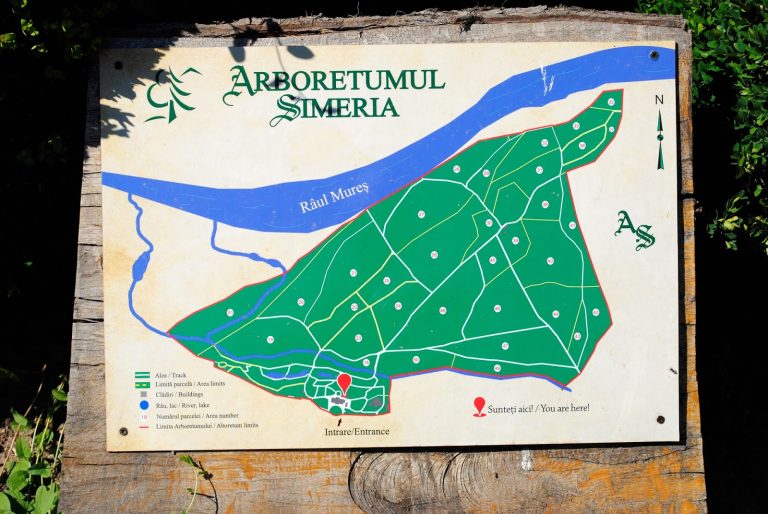 Arboretumul Simeria