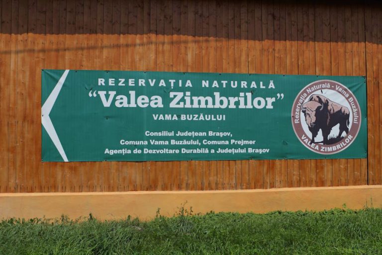 Rezervatia naturala Valea Zimbrilor