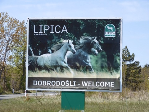 Lipizzan stud farm