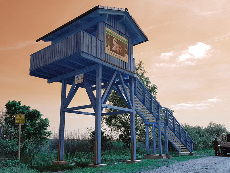 observator pasari lacul Neusiedl