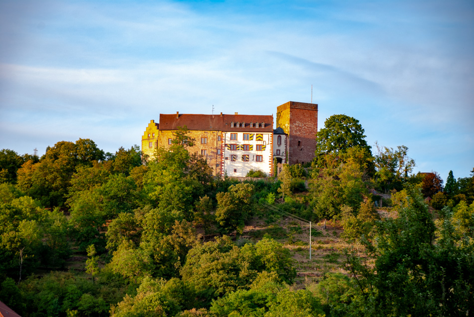 Castelul Gamburg